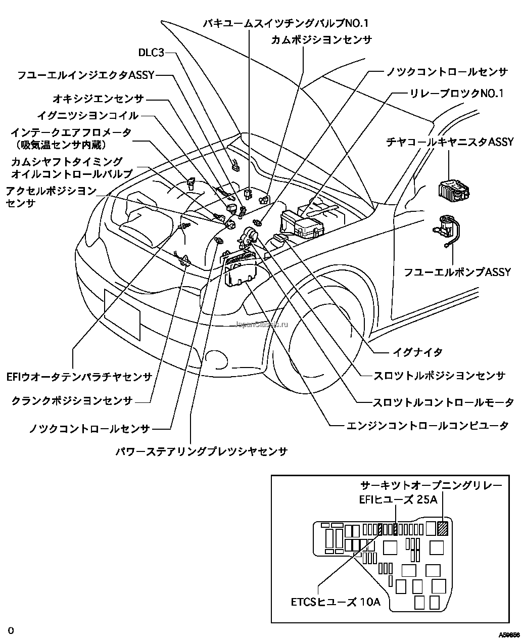 修理書 ― ＥＦＩシステム(ヴェロッサ(1JZ-GTE)) 部品配置図